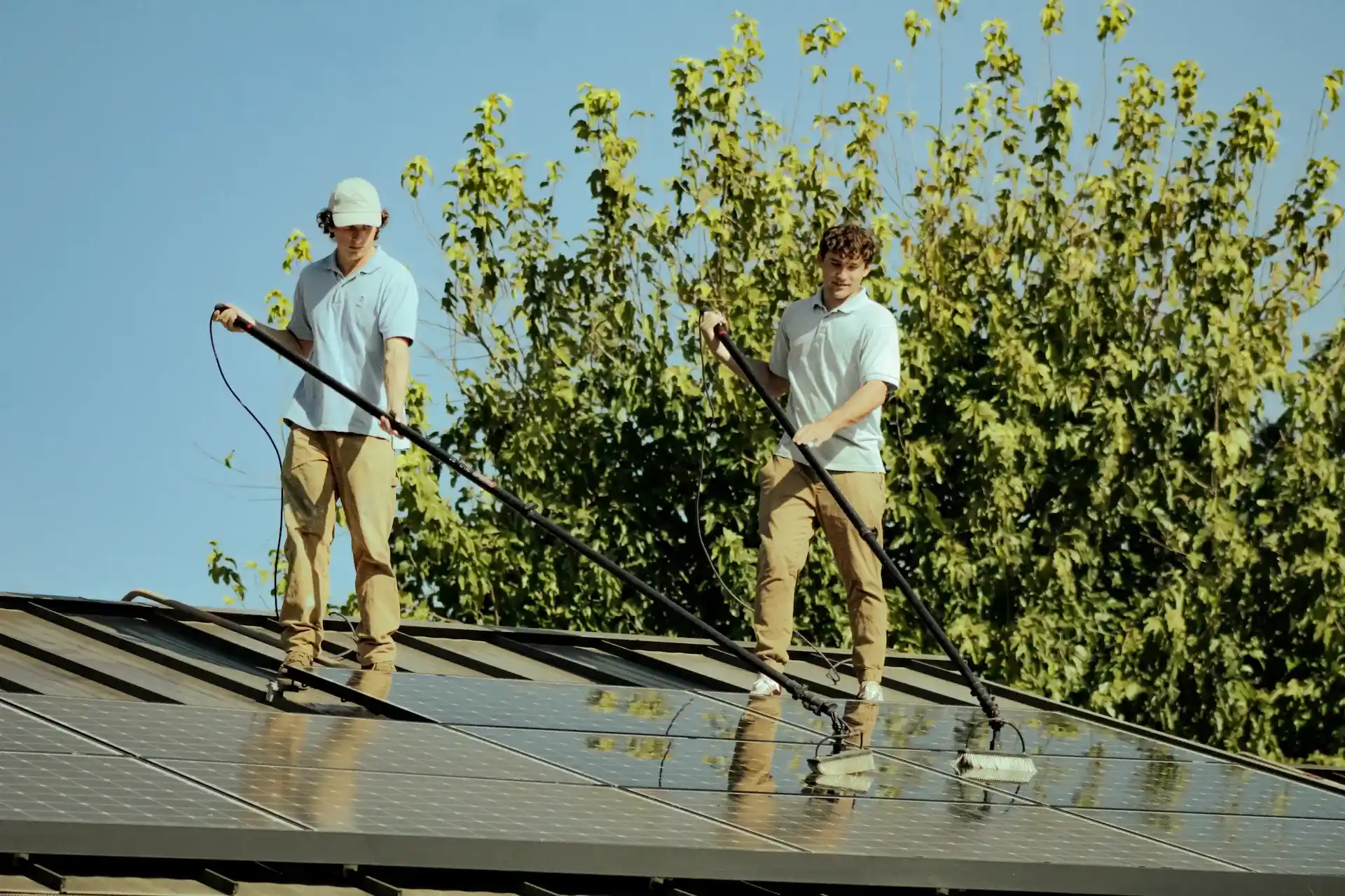 Professional roof cleaning service