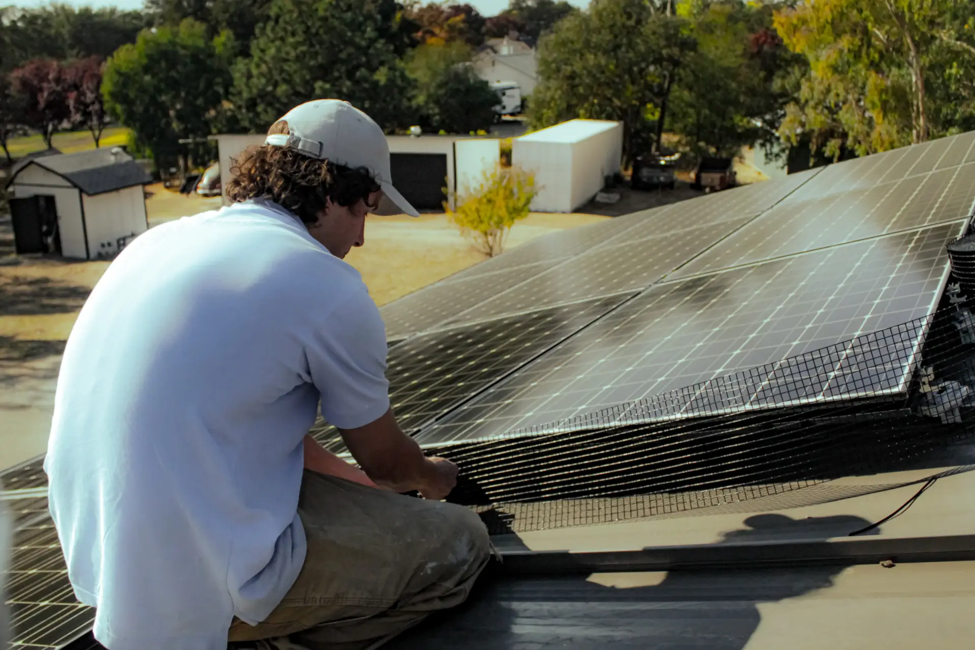 Bird proofing and property protection services